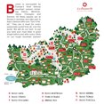 Illustrazioni